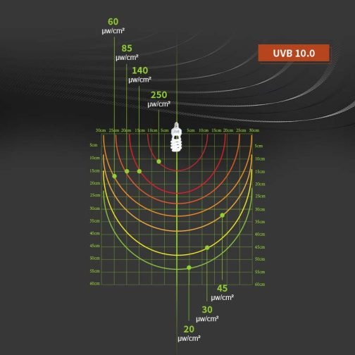 Smart Herp HO UVB Spiral 10.0 - Image 3