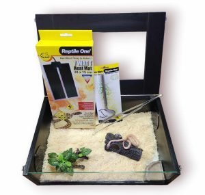 Delux Hatchling Kit