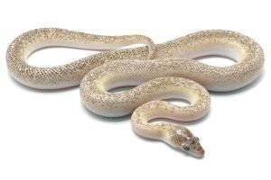 C24-066 Marble Children's Female